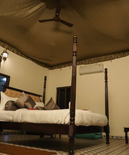 Comfort in the Heart of the Jungle: Top Hotel Rooms in Pench National Park